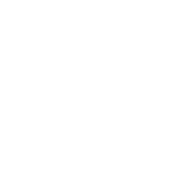 Regular Progress Reviews